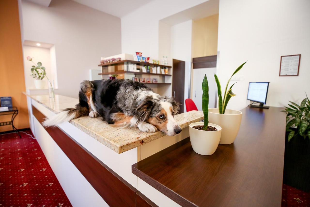 Hotel Табор Екстериор снимка